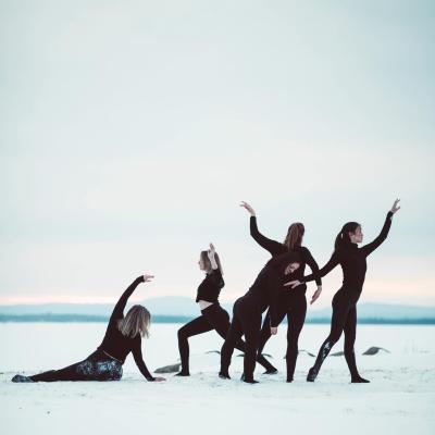 silhouettes of dancers in black against a frozen lake, their arms and legs shaped like tree limbs.